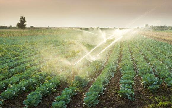 农资流通协会警示尿素价格异常供需失衡或影响终端农业与复合肥企业